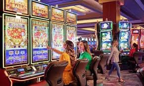 suncity group